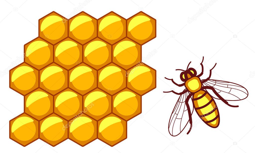Illustration of the worker bee and honeycomb