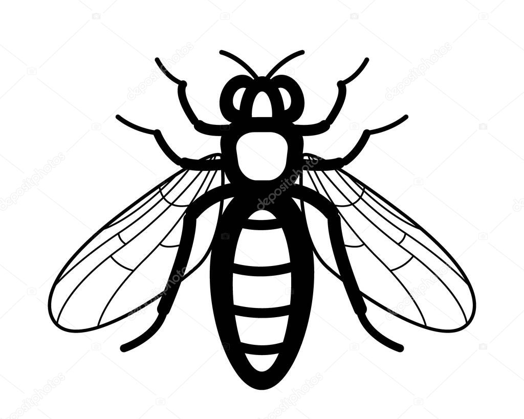Illustration of the contour worker bee insect