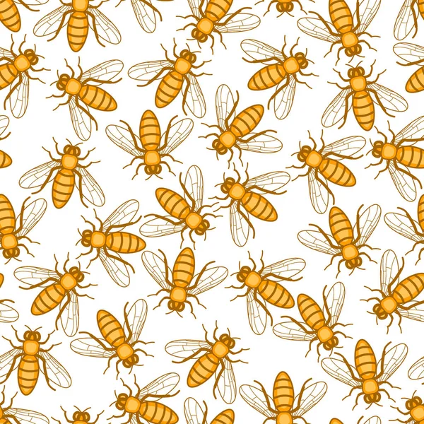 Modèle Sans Couture Des Insectes Abeilles Domestiques — Image vectorielle