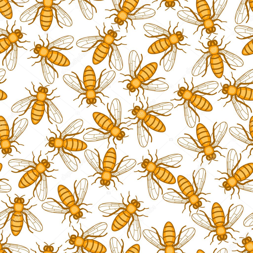 Seamless pattern of the honey bee insects