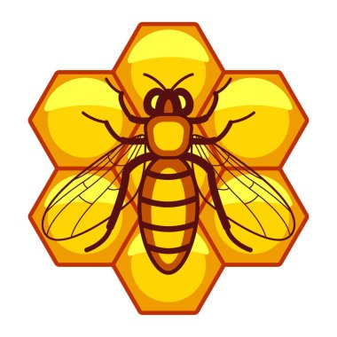 Altıgen bal peteği kullanan işçi arı tasviri