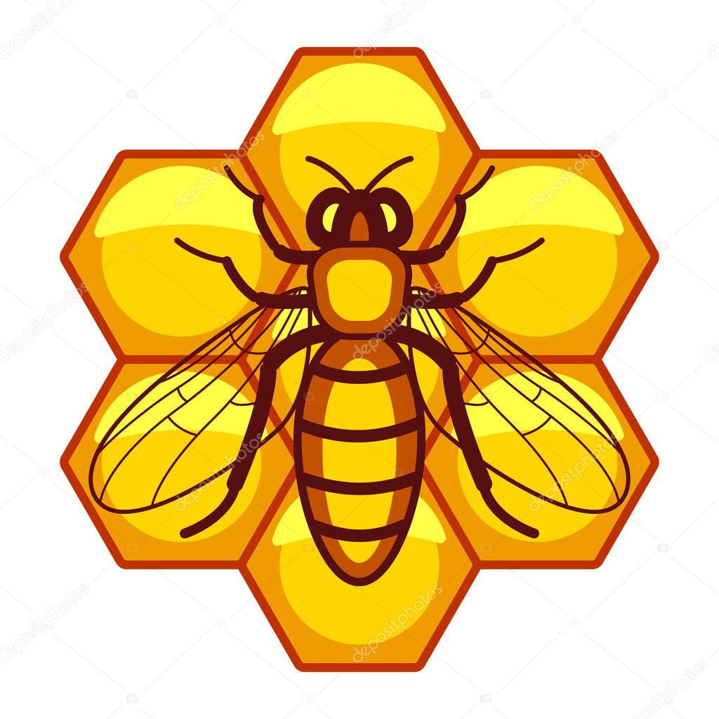 Illustration of the worker bee on hexagon honeycombs