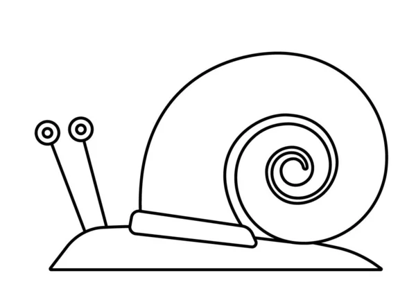 Ilustração Caracol Desenho Animado Contorno — Vetor de Stock