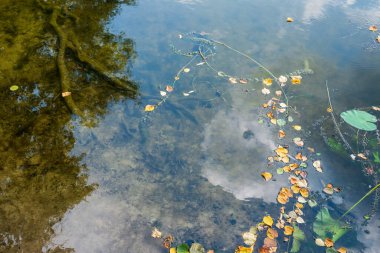 Su yüzeyinin soyut arkaplanı ve yansıması