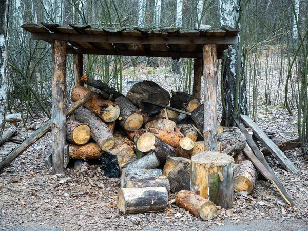 带树冠的木柴景观 — 图库照片