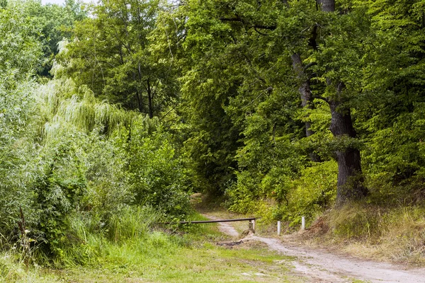 Parkın Girişi Olan Manzara — Stok fotoğraf