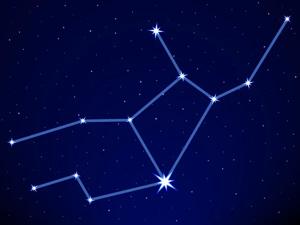 Звезда спика находится в созвездии. Созвездие Вирго. Созвездие Дева для детей. Созвездие зодиака Дева. Созвездие тигра на небе.