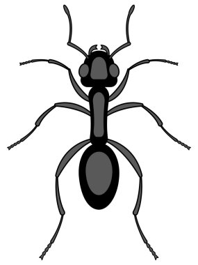 Karınca böcek simgesini