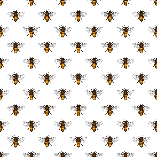 Bee patroon — Stockvector
