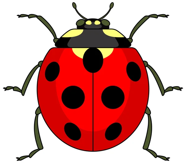 Coccinelle — Image vectorielle