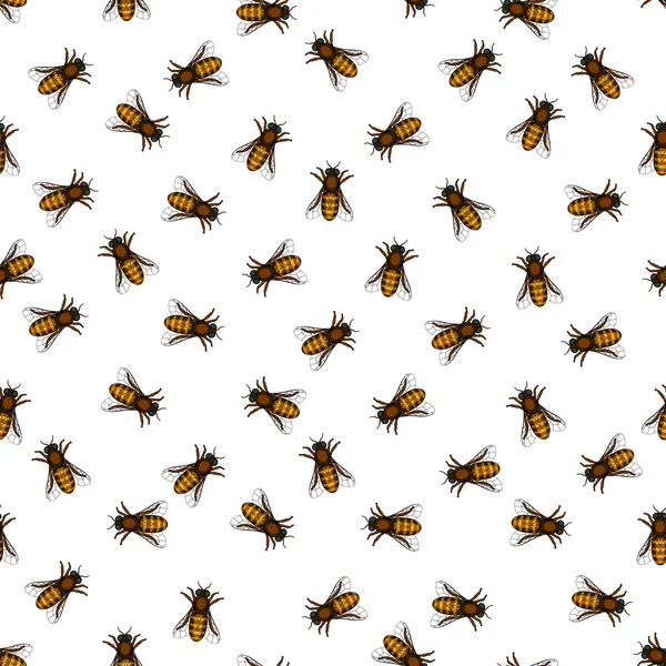 Honeybee pattern — Stock Vector