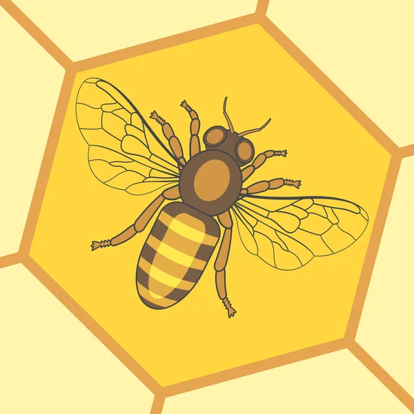 Icono de insecto de abeja — Vector de stock