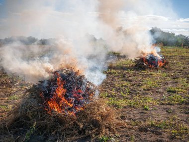 Landscape with burning dry grass