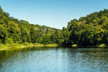 Landscape with a lake and wood