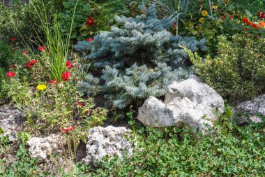 Flowerbed bezemeli manzara