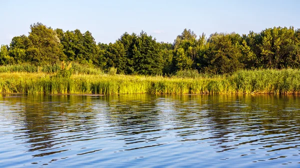 Landschap met rivier en bos — Stockfoto