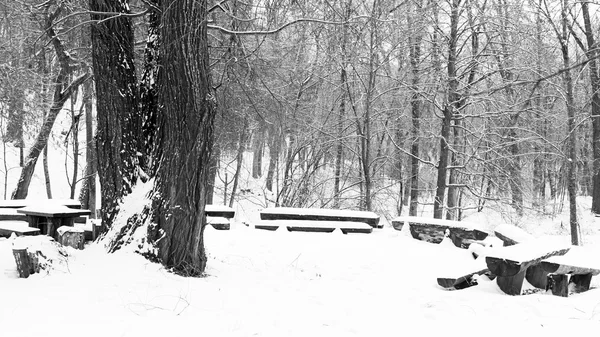 Зимовий парк вкритий снігом — стокове фото