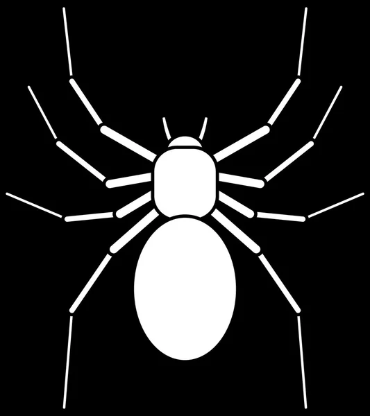 Spider on black background — Stock Vector