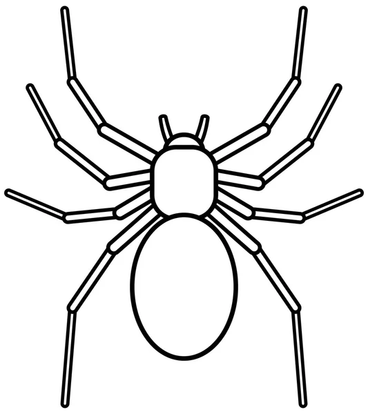 Araña sobre fondo blanco — Vector de stock