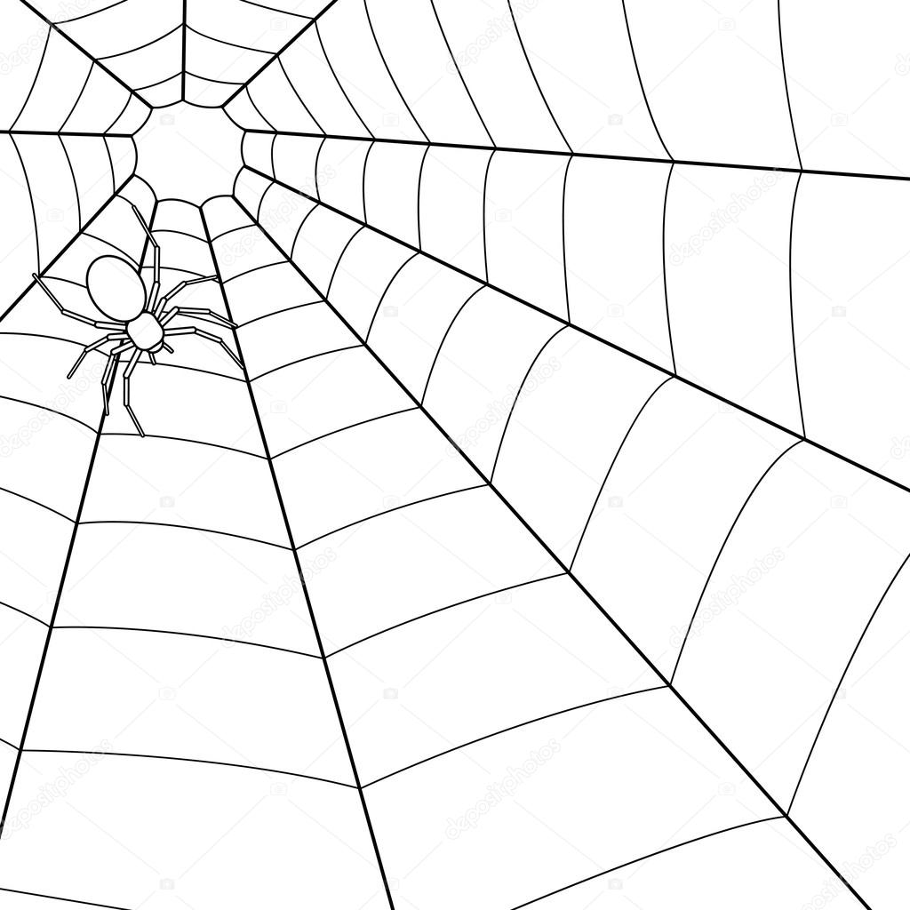 Illustration of the spider on cobweb