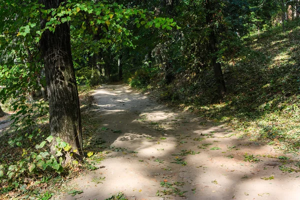 Chodnik w starym parku — Zdjęcie stockowe