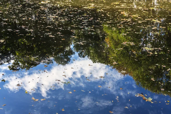 Powierzchnia wody z odbiciem — Zdjęcie stockowe