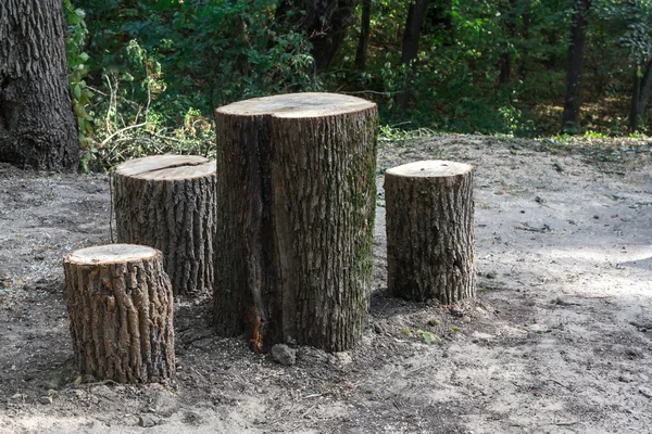 Wooden stacked stumps — Stock Photo, Image