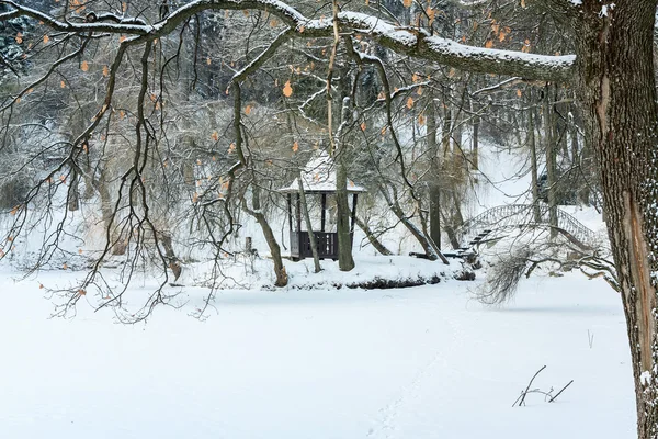 Paesaggio nel parco invernale — Foto Stock