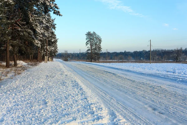 Inverno sera strada forestale — Foto Stock