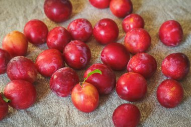 Ahşap masa dağınık Erik