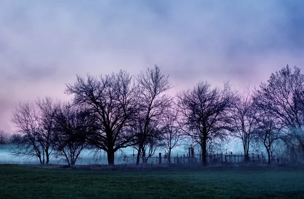 Eski mezarlık, kasvetli yatay — Stok fotoğraf