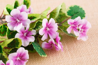 Tuval zemin üzerine çiçek