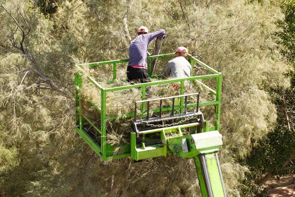 Jardiniers au travail — Photo