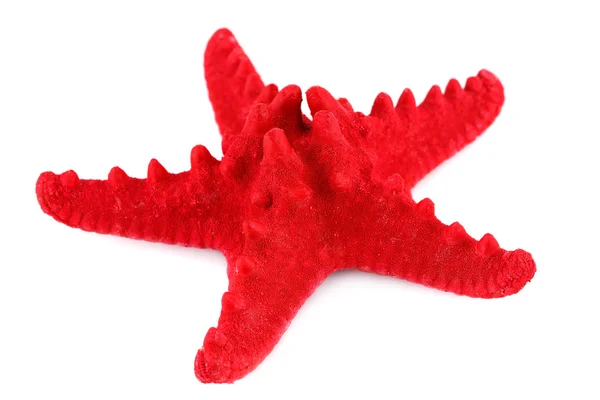 Starfish on white — Stock Photo, Image