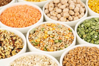 Beyaz seramik kaselerdeki farklı Groats koleksiyonu. Bezelye, renkli mercimek, karabuğday, nohut, buğday taneleri..