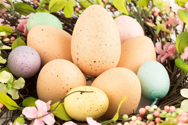 Bunte Ostereier Nest Und Blumen — Stockfoto