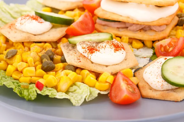 Fish cream on crackers — Stock Photo, Image