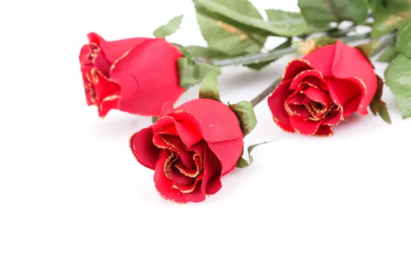 Rose rosse — Foto Stock