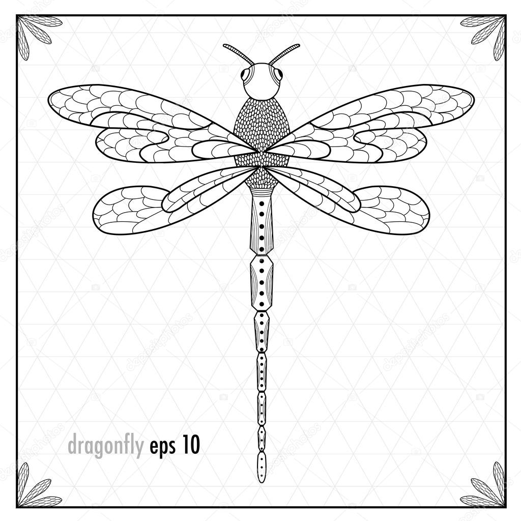 Dragonfly on white grid background
