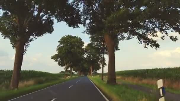在一个绿色整洁的乡间行驶的汽车的挡风玻璃上开车时被射穿了 — 图库视频影像