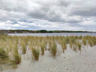 Kum tepelerinin ve Baltık Denizi 'nin Alman sahillerindeki beyaz kumsalların fotoğrafı.