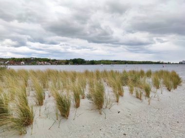 Kum tepelerinin ve Baltık Denizi 'nin Alman sahillerindeki beyaz kumsalların fotoğrafı.