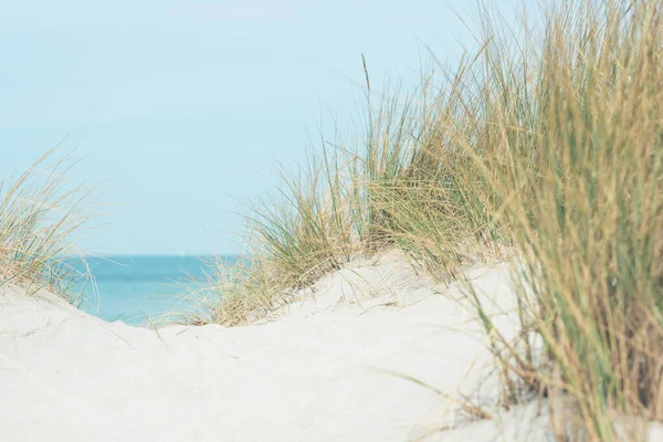 Baltic sea dunes over blue coastline background in Northern Germany