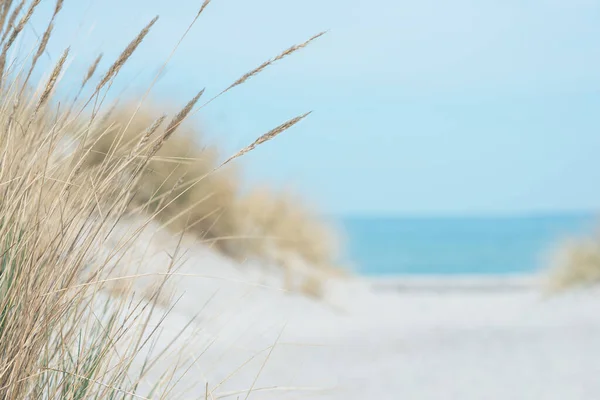 Oostzee Duinen Blauwe Kustlijn Achtergrond Noord Duitsland — Stockfoto