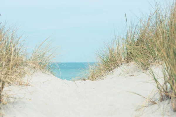 Baltic sea dunes over blue coastline background in Northern Germany
