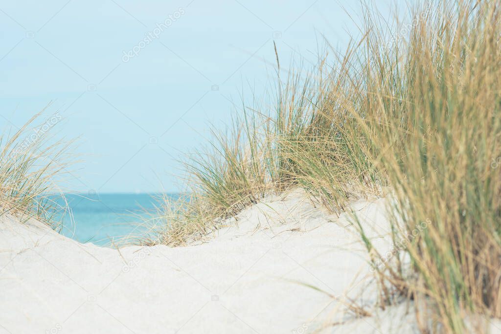 Baltic sea dunes over blue coastline background in Northern Germany