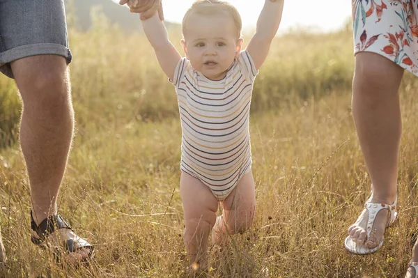 Портрет Милого Малыша Держащегося Руки Родителей Тренирующегося Ходить Полю Закате — стоковое фото