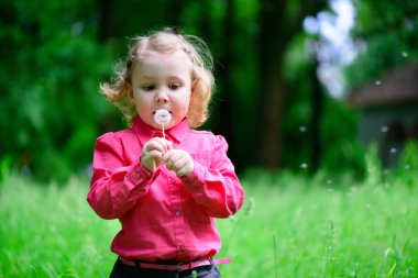 Sevimli küçük kız üfleme karahindiba