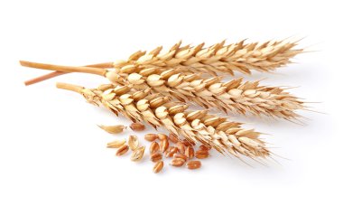 Closeup buğday sivri