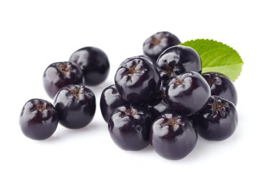 Chokeberry. Berries for health  clipart